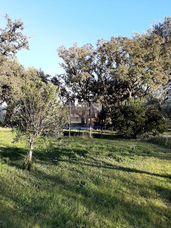 Mas-Thibert Chambre D'Hotes Mas Pekin מראה חיצוני תמונה