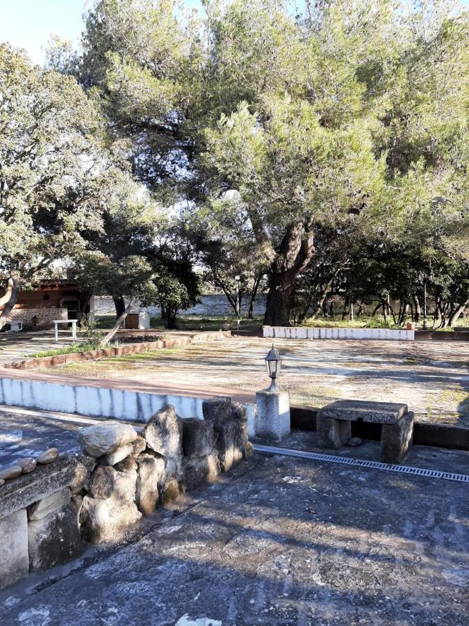 Mas-Thibert Chambre D'Hotes Mas Pekin מראה חיצוני תמונה